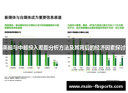 英超与中超投入差距分析方法及其背后的经济因素探讨 英超与中超投入差距分析方法及其背后的经济因素探讨