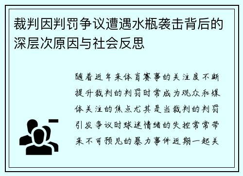 裁判因判罚争议遭遇水瓶袭击背后的深层次原因与社会反思