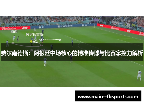 费尔南德斯：阿根廷中场核心的精准传球与比赛掌控力解析